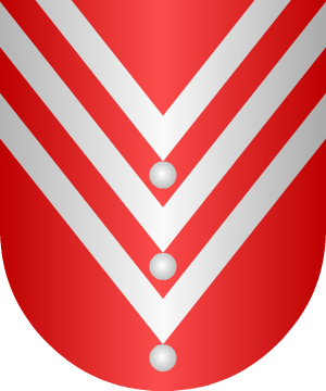 ESCUDO PRECEDENTE